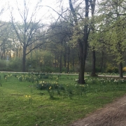 berlin14