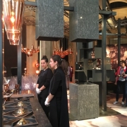 tom dixon & caesarstone fire